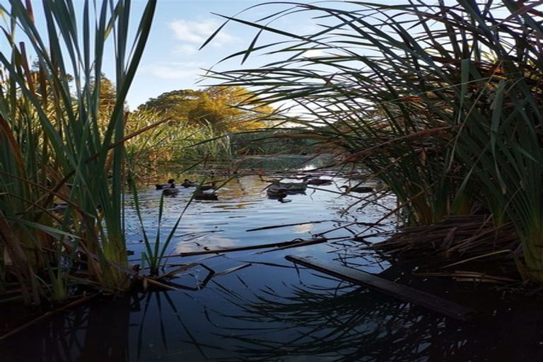 Photo of property in 1/17 Ranui Station Road, Ranui, Auckland, 0612