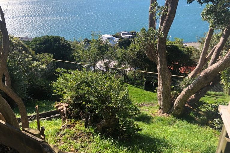 Photo of property in 41 Grafton Road, Roseneath, Wellington, 6011