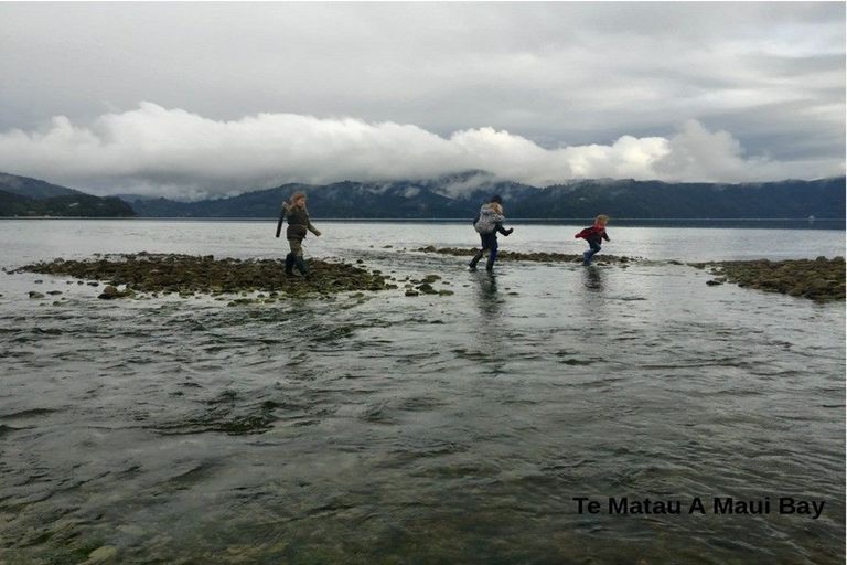 Photo of property in 6617 Kenepuru Road, Saint Omer, Marlborough Sounds, 7282