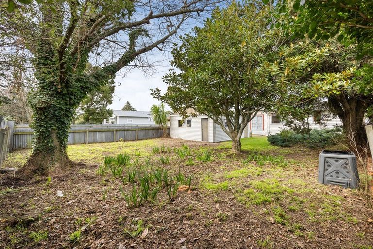 Photo of property in 54 Miro Street, Takaro, Palmerston North, 4410