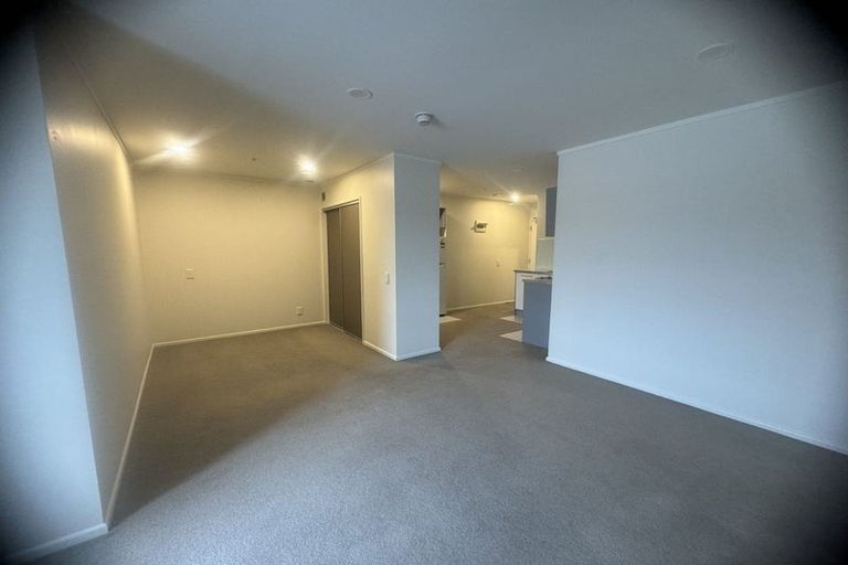 Photo of property in Luna Apartments, 1n/16 Burton Street, Grafton, Auckland, 1010
