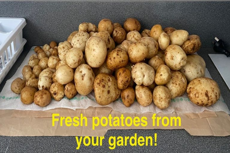 Photo of property in 161 Hautapu Street, Taihape, 4720