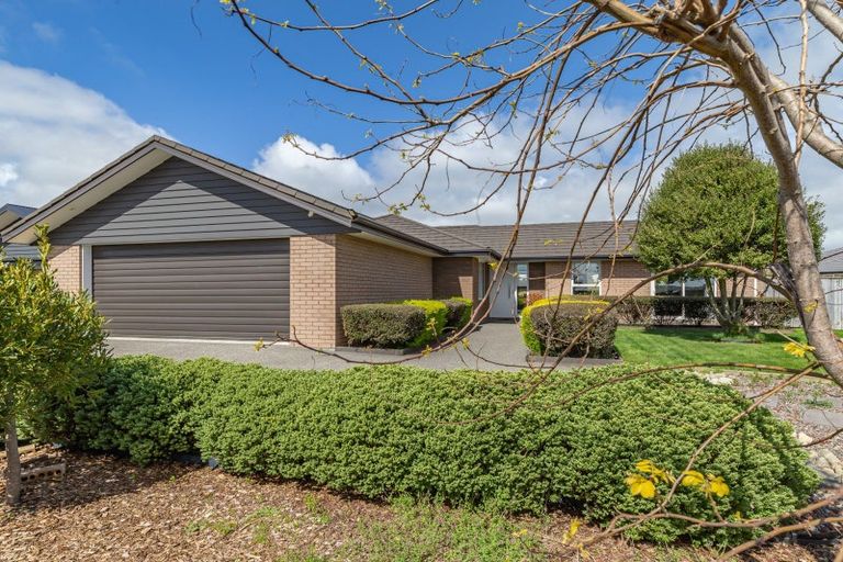Photo of property in 15 Gladys Place, Levin, 5510