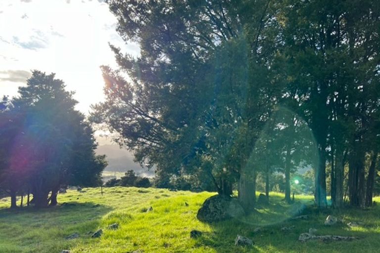 Photo of property in 20 Mangamanihi Road, Kaeo, 0479