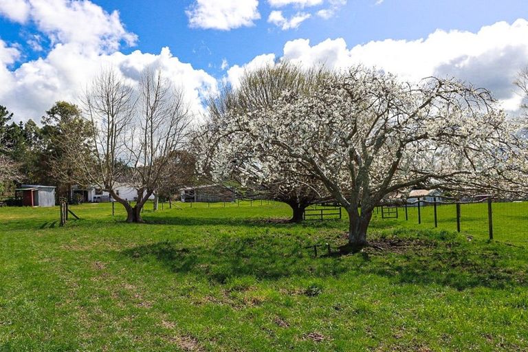 Photo of property in 100 Macgibbon Road, Waitahora, Dannevirke, 4971