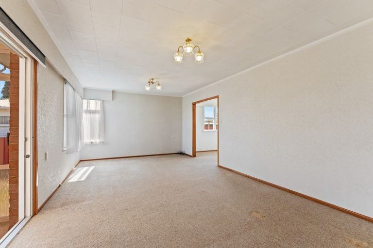 Photo of property in 46 Featherston Street, Levin, 5510