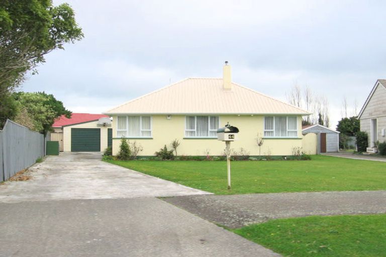 Photo of property in 44 Tweed Street, Roslyn, Palmerston North, 4414