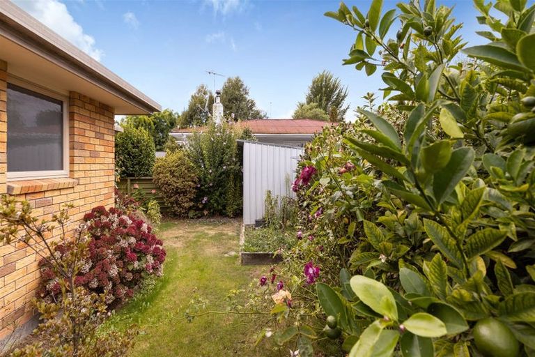 Photo of property in 33b Litchfield Street, Redwoodtown, Blenheim, 7201