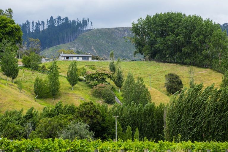 Photo of property in 909a Wharekopae Road, Ngatapa, Gisborne, 4072