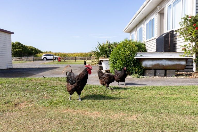 Photo of property in 166a Pipiroa Road, Pipiroa, Ngatea, 3597