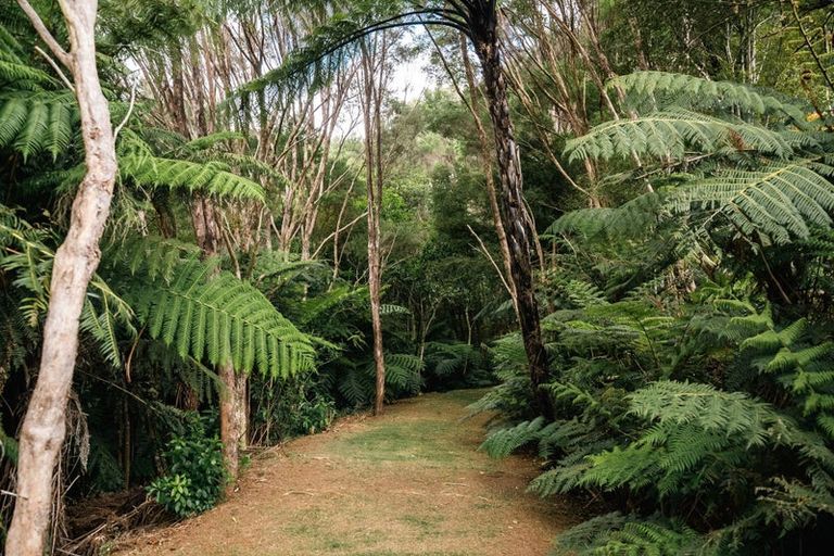 Photo of property in 183 Rangitane Road, Kerikeri, 0294