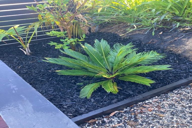 Photo of property in 2 Eveline Street, Mangawhai Heads, Mangawhai, 0505