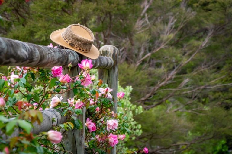 Photo of property in 407 Upper Waingawa Road, Kaituna, Masterton, 5888