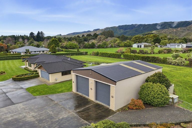 Photo of property in 53 Pohutukawa Drive, Levin, 5571