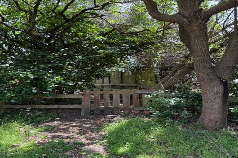 Photo of property in 144a Paetawa Road, Peka Peka, Waikanae, 5391