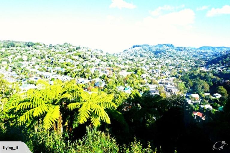 Photo of property in 48 Fox Street, Ngaio, Wellington, 6035