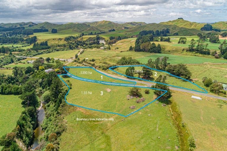 Photo of property in State Highway 2, Eketahuna, 4900