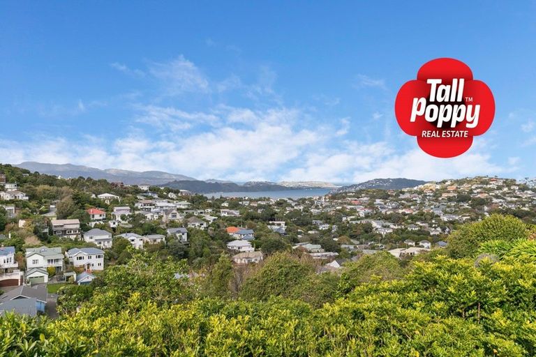 Photo of property in 17 Orissa Crescent, Broadmeadows, Wellington, 6035