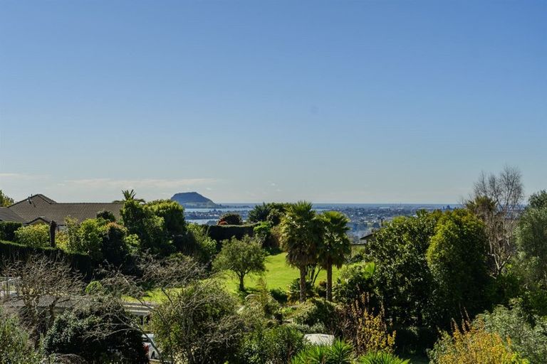 Photo of property in 24 Dawn View Place, Minden, Tauranga, 3176