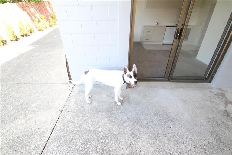 Photo of property in 124 Weatherly Road, Torbay, Auckland, 0630