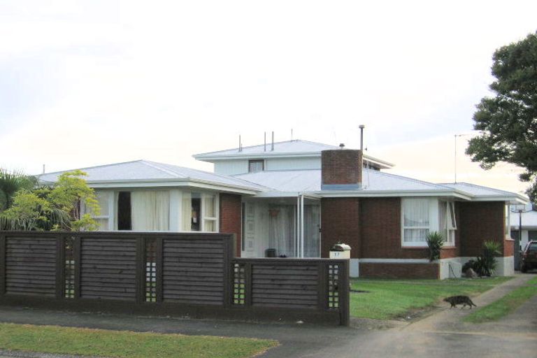 Photo of property in 17 Mears Road, St Andrews, Hamilton, 3200