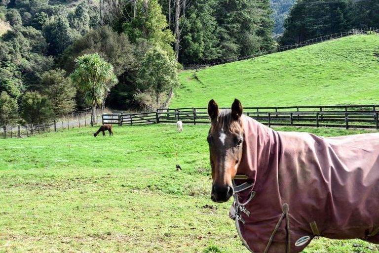 Photo of property in 473a Waingaro Road, Ngaruawahia, 3793