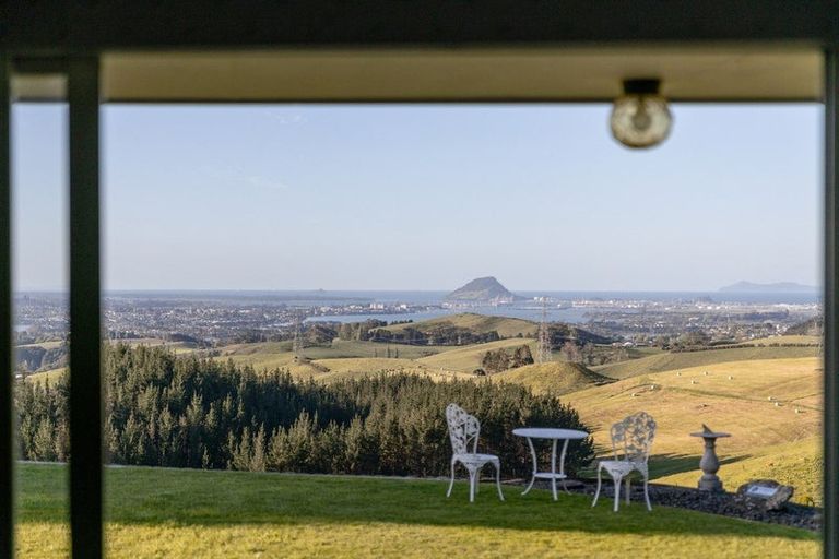 Photo of property in 565c Upper Ohauiti Road, Ohauiti, Tauranga, 3173