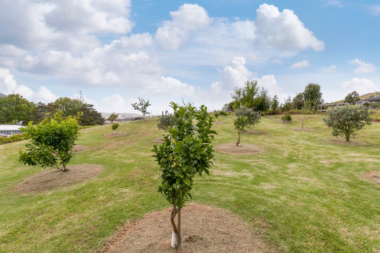 Photo of property in 958 Whangaripo Valley Road, Whangaripo, Wellsford, 0972