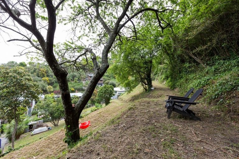 Photo of property in 3 Little Burke Street, Hospital Hill, Napier, 4110