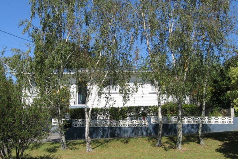 Photo of property in 106 Seabrook Avenue, New Lynn, Auckland, 0600