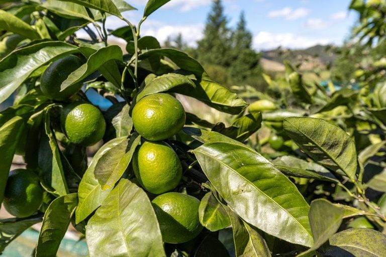 Photo of property in 11 James Road, Huntly, 3771