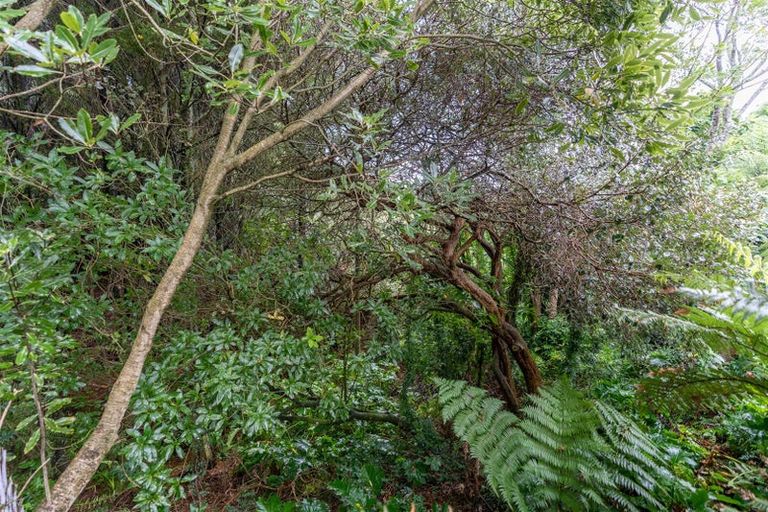 Photo of property in 117b Clarkin Road, Fairfield, Hamilton, 3214