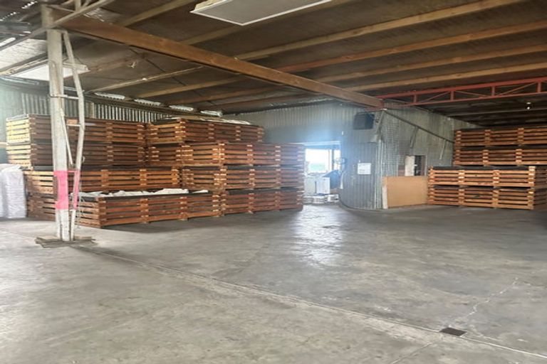 Photo of property in 172 Old Renwick Road, Springlands, Blenheim, 7272