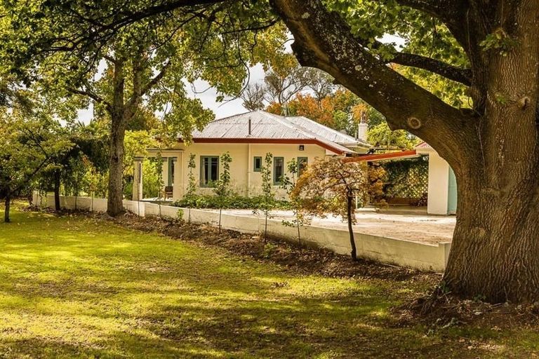 Photo of property in 63 Mchardy Street, Havelock North, 4130