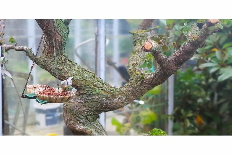 Photo of property in 26 Walton Park Avenue, Fairfield, Dunedin, 9018