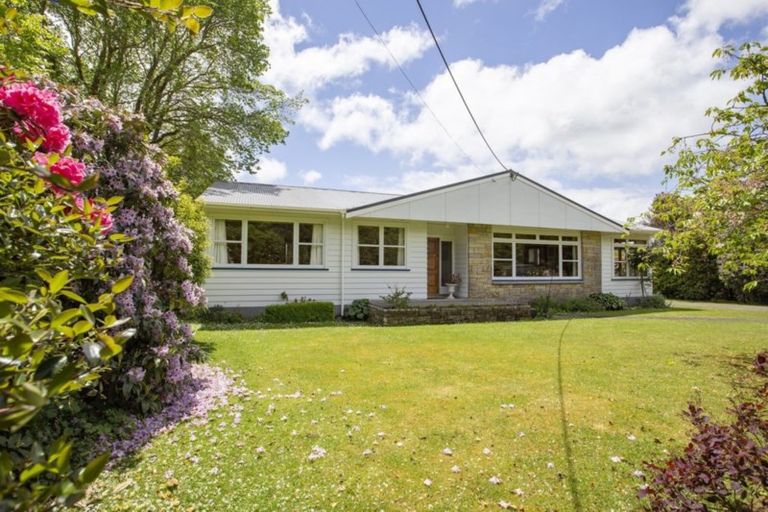 Photo of property in 17 Haswell Street, Eketahuna, 4900