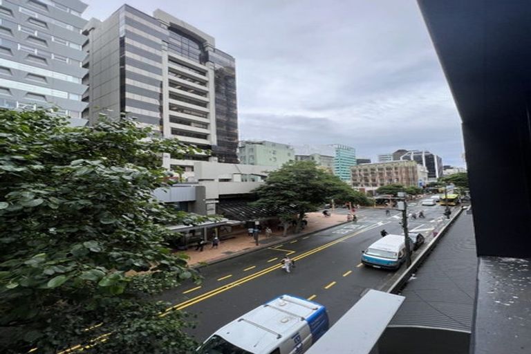 Photo of property in Gerondis Bldg Apartments, 201/60 Willis Street, Wellington Central, Wellington, 6011