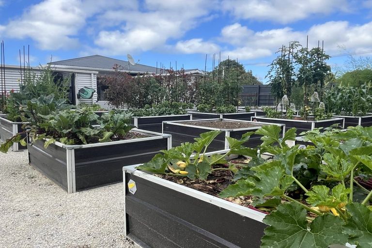 Photo of property in 61 Terou Street, Manaia, 4612