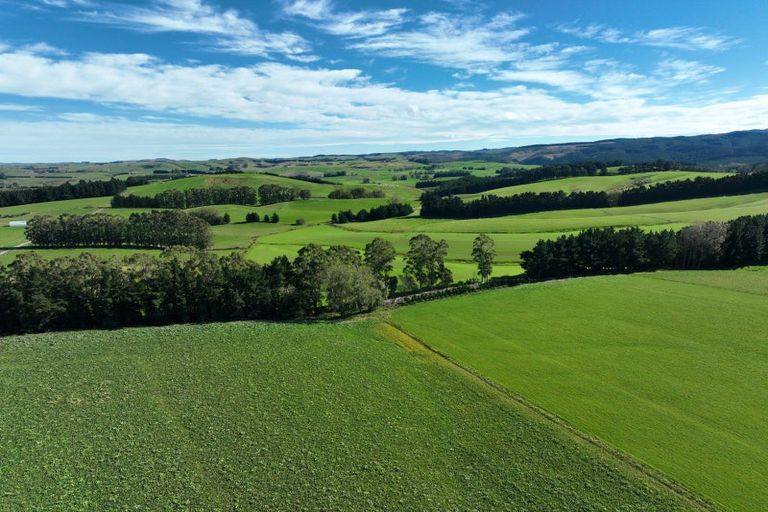 Photo of property in 1446a Clydevale Road, Clydevale, 9274