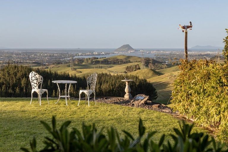 Photo of property in 565c Upper Ohauiti Road, Ohauiti, Tauranga, 3173