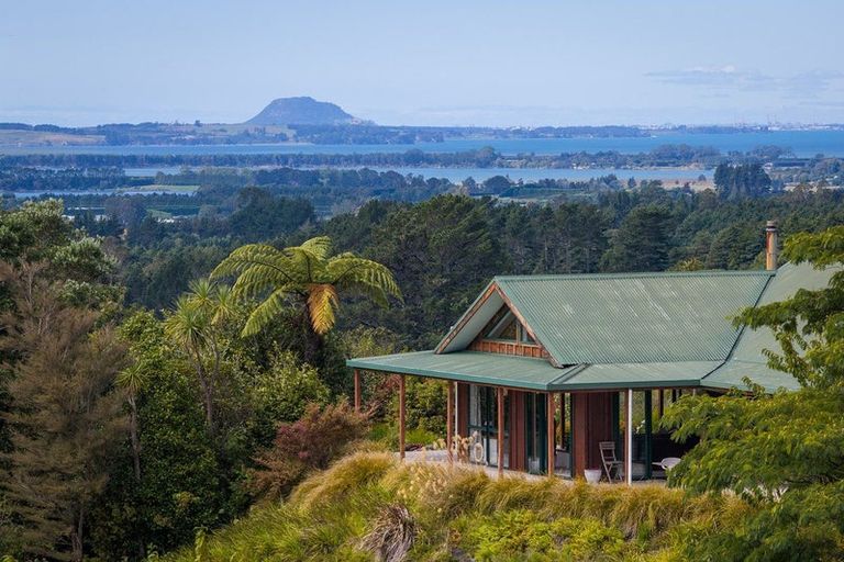 Photo of property in 360a Busby Road, Tahawai, Katikati, 3170