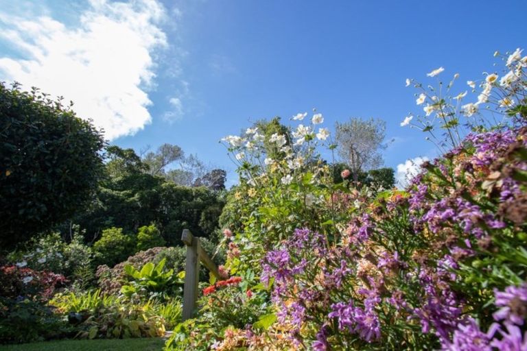 Photo of property in 12a Alexander Street, Waikanae, 5036