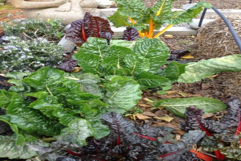 Photo of property in 8 Ocean View Terrace, Sumner, Christchurch, 8081