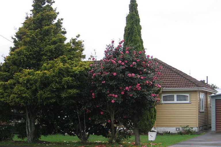 Photo of property in 56b Keepa Street, Levin, 5510