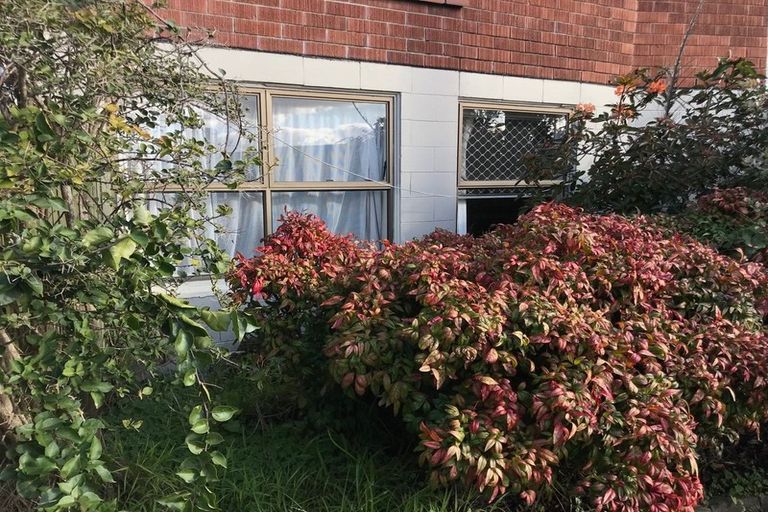 Photo of property in 1/3 Sunset Road, Totara Vale, Auckland, 0632