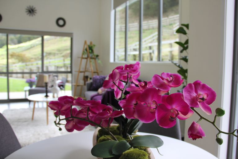 Photo of property in 262a Whau Valley Road, Whau Valley, Whangarei, 0112