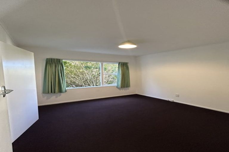 Photo of property in 47 Central Terrace, Kelburn, Wellington, 6012