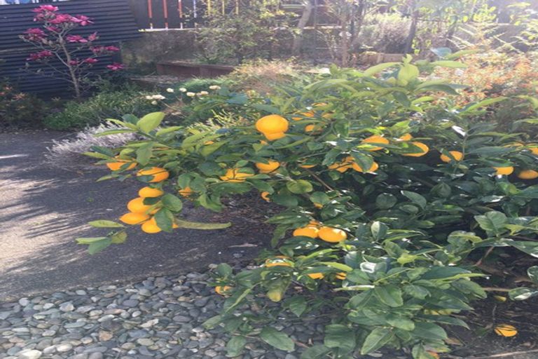 Photo of property in 50 Montreal Road, Washington Valley, Nelson, 7010