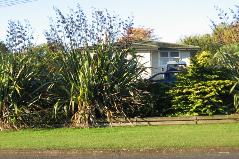Photo of property in 46 Totara Street, Putaruru, 3411