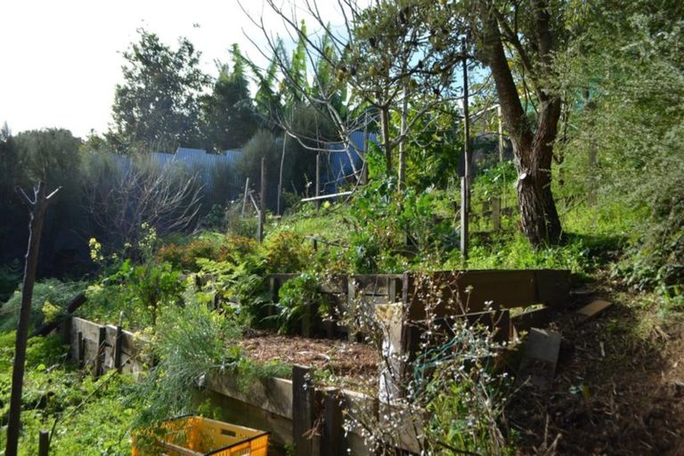 Photo of property in 117 Carlton Street, Bellevue, Tauranga, 3110